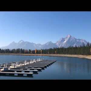 Meet your Posher, Robin